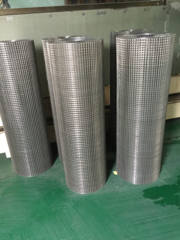 SS Wire Mesh